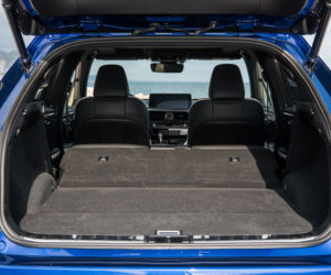 Lexus RX 300 lifting 2020