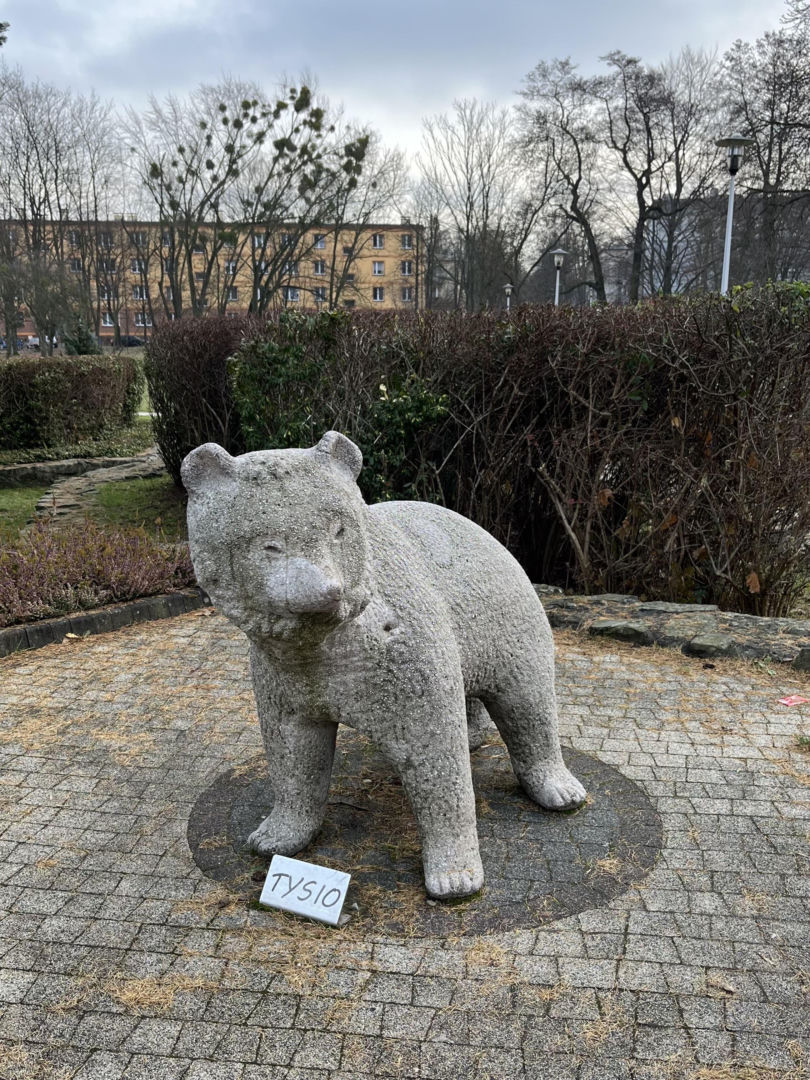 Niedźwiadki w Parku Niedźwiadków