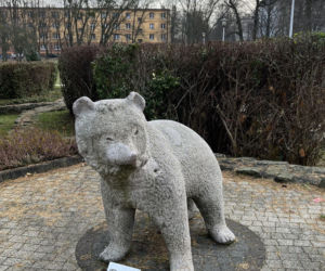 Niedźwiadki w Parku Niedźwiadków