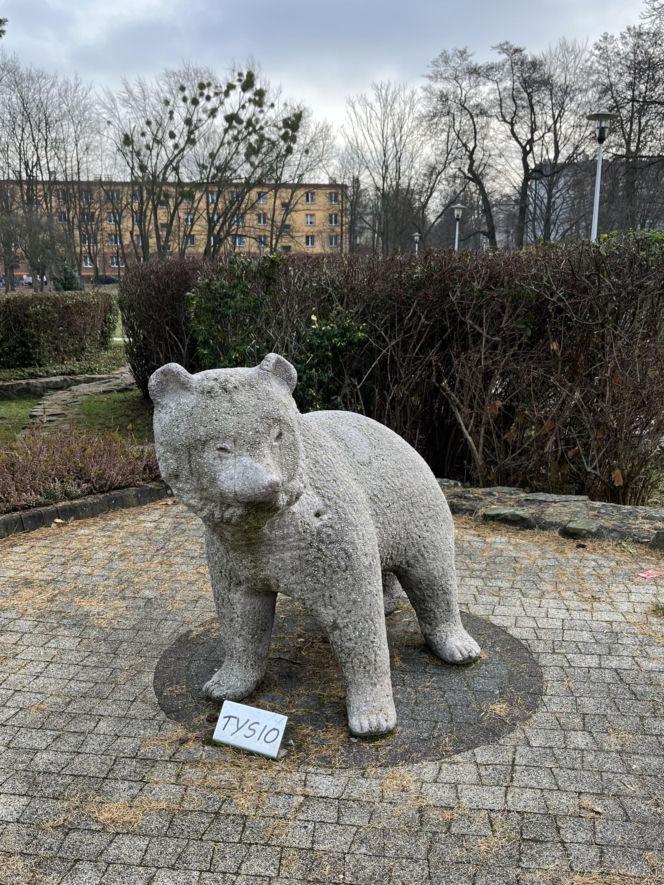 Niedźwiadki w Parku Niedźwiadków