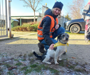 Bieg + 4 Łapy za nami. Wyjątkowy dzień w schronisku w Henrykowie koło Leszna