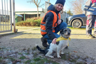 Bieg + 4 Łapy za nami. Wyjątkowy dzień w schronisku w Henrykowie koło Leszna