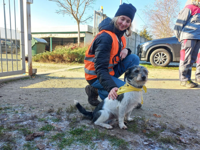 "Bieg + 4 Łapy" za nami. Wyjątkowy dzień w schronisku w Henrykowie koło Leszna