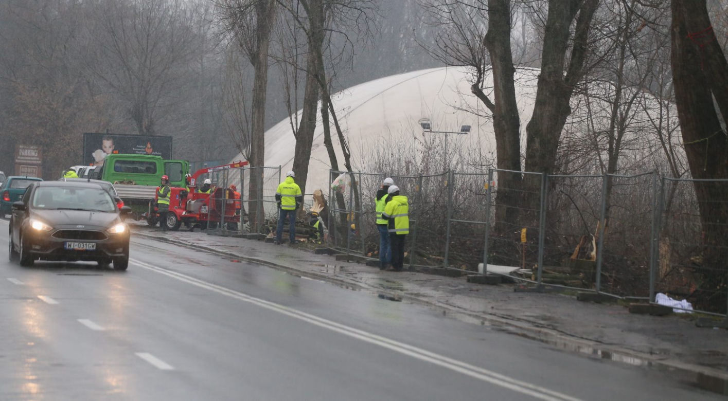Wycinka drzew wzdłuż Wybrzeża Helskiego