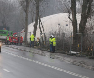 Wycinka drzew wzdłuż Wybrzeża Helskiego