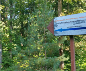52. Rajd Miłośników Roztocza