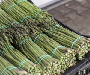 „Prosto od rolnika” nawet w 24h. Rekordowy czas dostawy świeżych produktów w delio supermarket online 