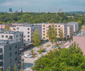 architektura społeczna 20