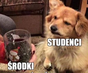 17 listopada. Dzień Studenta. Zobacz najśmieszniejsze MEMY!