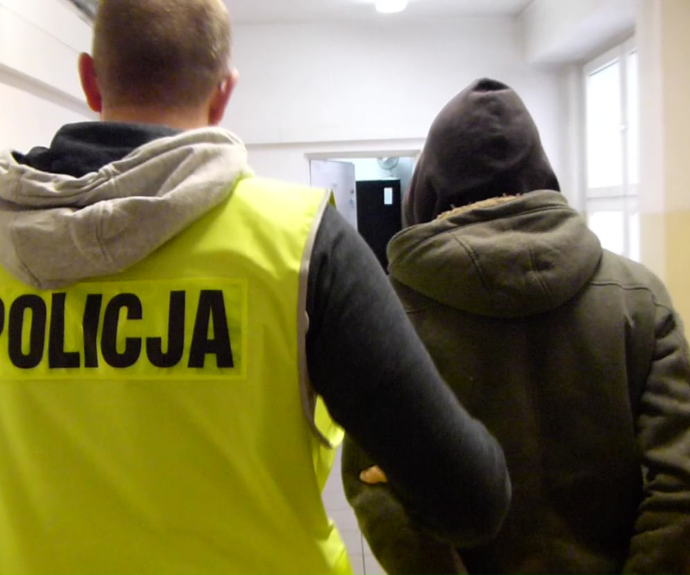 Podejrzani o podpalenia są w rękach policji
