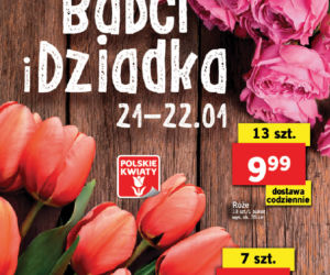 Dzień Babci i Dziadka w Lidlu