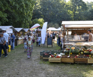 Weekend pełen smaków i tradycji! Gdynia zaprasza na 33. Dary Ziemi
