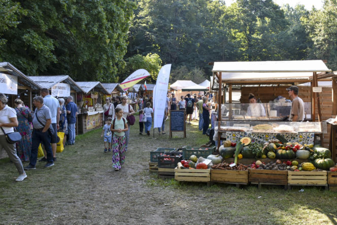 Weekend pełen smaków i tradycji! Gdynia zaprasza na 33. Dary Ziemi