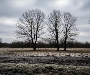 IMGW wydał ostrzeżenia. Komunikaty dla dwóch powiatów