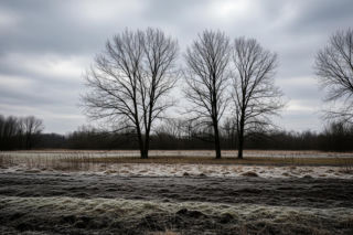 Zimno, ale bez śniegu w Przemyślu 02.12.2025. Czy to cisza przed burzą, czy tylko kaprysy grudnia?