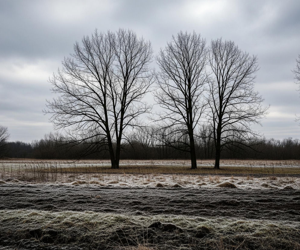 IMGW wydał ostrzeżenia. Komunikaty dla dwóch powiatów