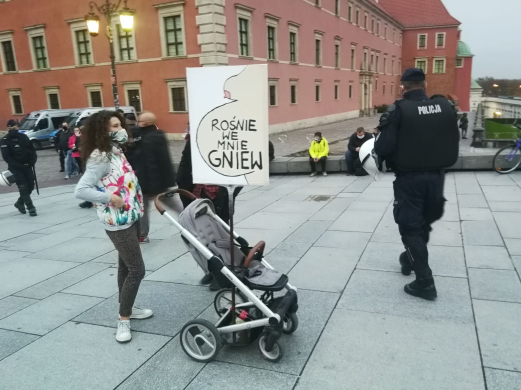 Protest na Placu Zamkowym