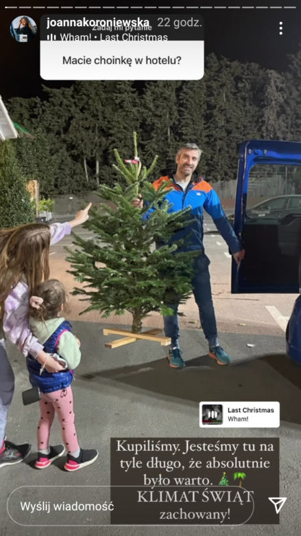 Wybrali palmy zamiast choinki