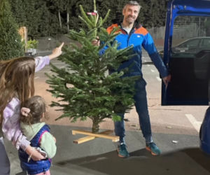 Wybrali palmy zamiast choinki