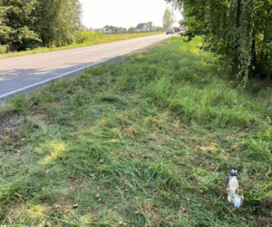 Kacperek zginął pod kołami rozpędzonej ciężarówki! Dramat pod Gizałkami