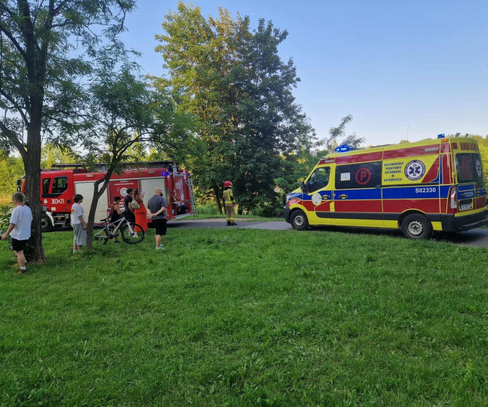 Akcja ratunkowa w Dolinie Trzech Stawów w Katowicach