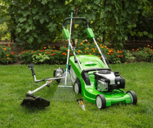 Narzędzia do przycinania trawnika, które warto mieć!