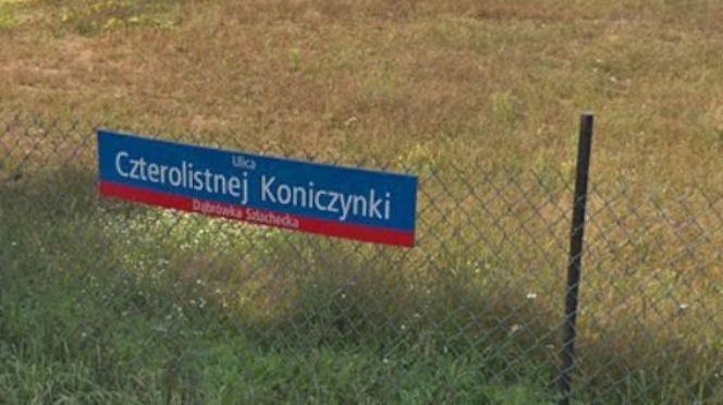 Oto najbardziej "wiosenne" ulice w stolicy! Tu wiosna trwa cały rok!