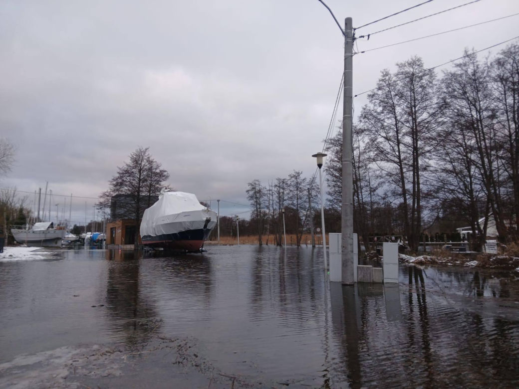 Cofka na Bałtyku. Stepnica