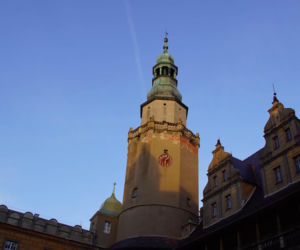 Znany dolnośląski zamek znów otwarty! Przez rok był zamknięty na cztery spusty