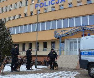 Tazer, policjant na 4 łapach, przeszedł na emeryturę