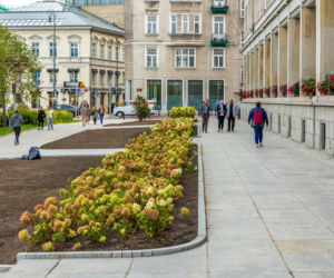 Zieleniec w miejscu parkingu na Placu Trzech Krzyży w Warszawie