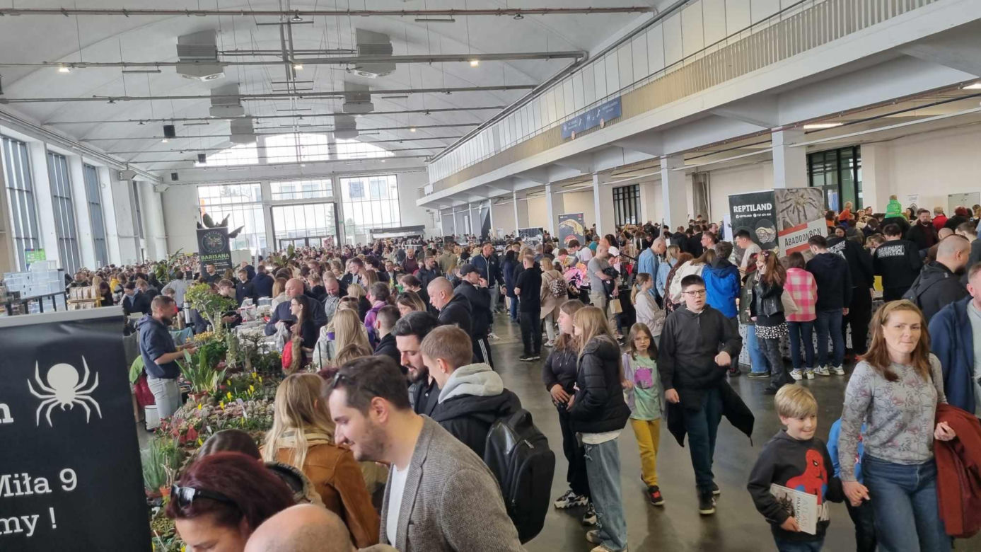 Targi Exotic Fest odbyły się w Poznaniu