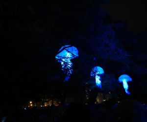 29 W Łodzi trwa Festiwal Światła. ZOBACZ, jak zmienił łódzką przestrzeń