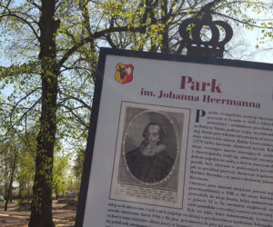 Od dziś otwarte lasy i parki. Ale parki Heermanna i Jonstona wciąż ogrodzone