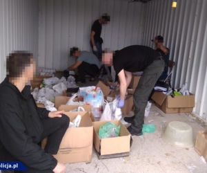 Akcja policjantów CBŚP w kujawsko-pomorskiem. Siedem osób zatrzymanych