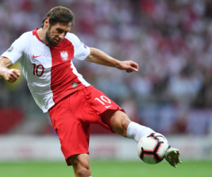 Grzegorz Krychowiak, reprezentacja Polski