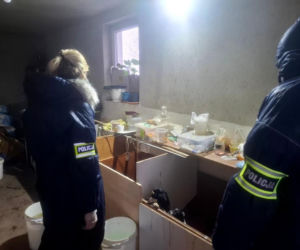 Były niedożywione i zapchlone, miały odmrożone łapy. Dramat 44 małych psów i 3 kotów