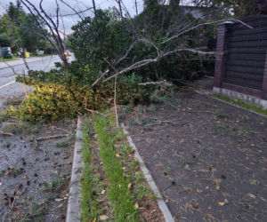 Burze nad Polską. Setki interwencji, tysiące domów bez prądu. IMGW ostrzega. Gdzie będzie najgorzej?