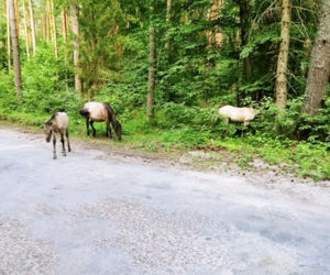 Warmia i Mazury. Wypoczynek bez tłumów