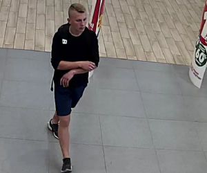 Złodziejaszek ze zdjęć poszukiwany! Upodobał sobie jeden sklep w Gliwicach [ZDJĘCIA]