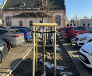 Parking przy Ćwiczni