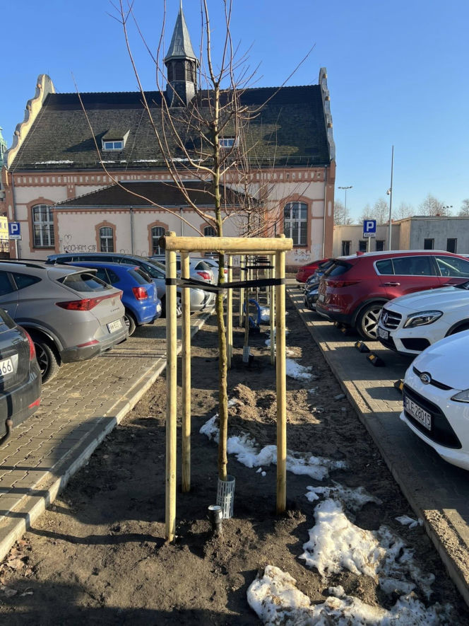 Parking przy Ćwiczni