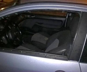 Zziębnięty piesek znaleziony w samochodzie w centrum Wrocławia