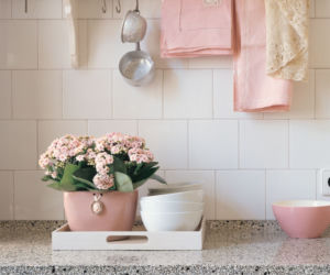 Różowe kalanchoe w kuchni