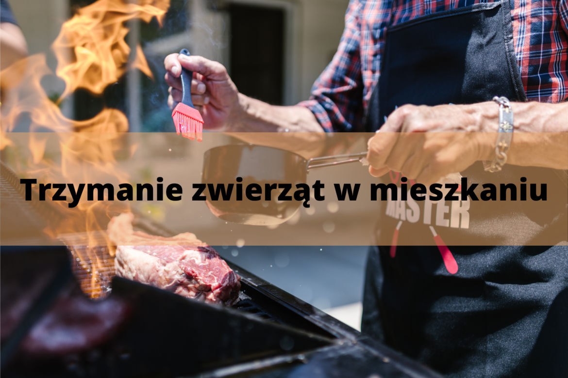 Trzymanie zwierząt w mieszkaniu