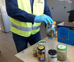 Potężna plantacja marihuany na Śląsku! [ZDJĘCIA]