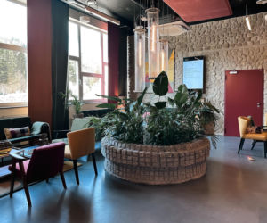 Metalowiec w Muszynie