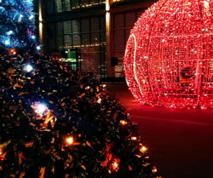 Iluminacje bożonarodzeniowe w Szczecinie