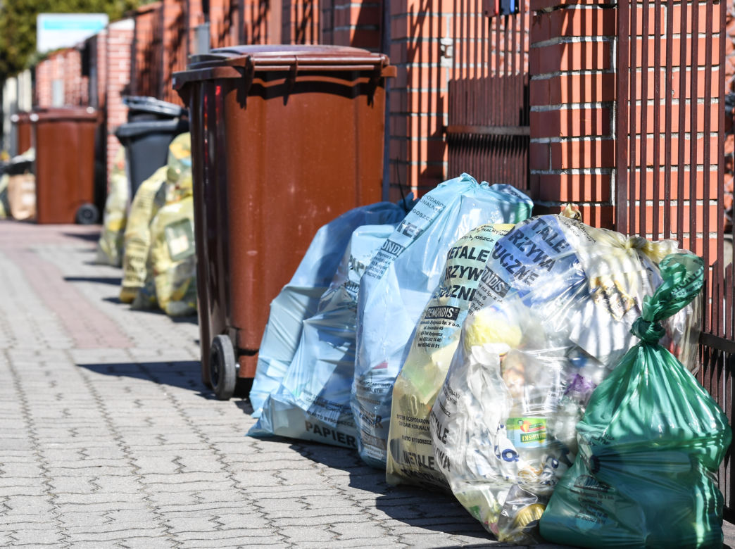 Bydgoszcz tonie w śmieciach. Będzie kolejna epidemia?