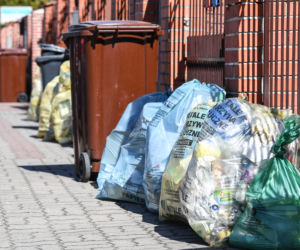 Bydgoszcz tonie w śmieciach. Będzie kolejna epidemia?